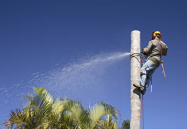 Best Weed Control  in Cooper City, FL